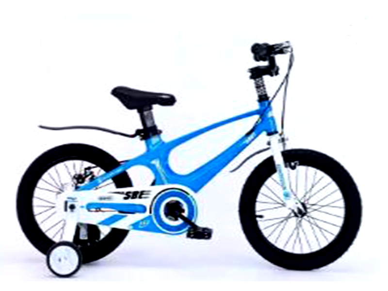 Xe đạp trẻ em FTL-QXZ18