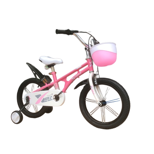 Xe đạp trẻ em WL16, Xe đạp 16 Inch dành cho bé gái